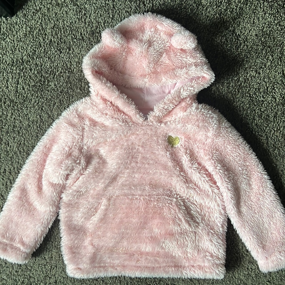Hoodie with ears